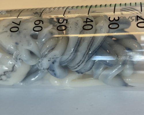 EKSPERYMENTALNY SMAR Z CNT